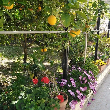 Casa Engy Апартаменты