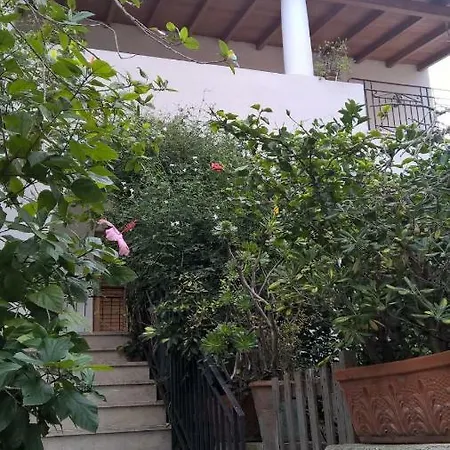 Casa Engy Apartment