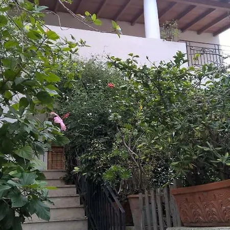 Casa Engy Apartamento