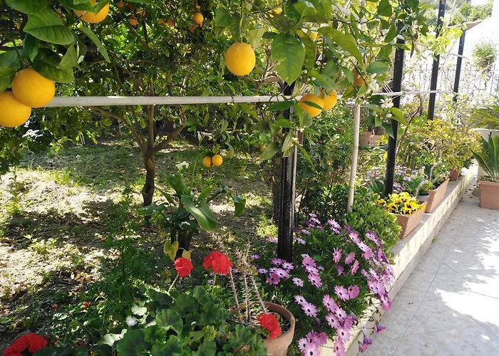 Casa Engy Apartamento